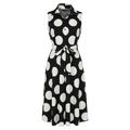 AVELLANA