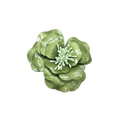 FLOR