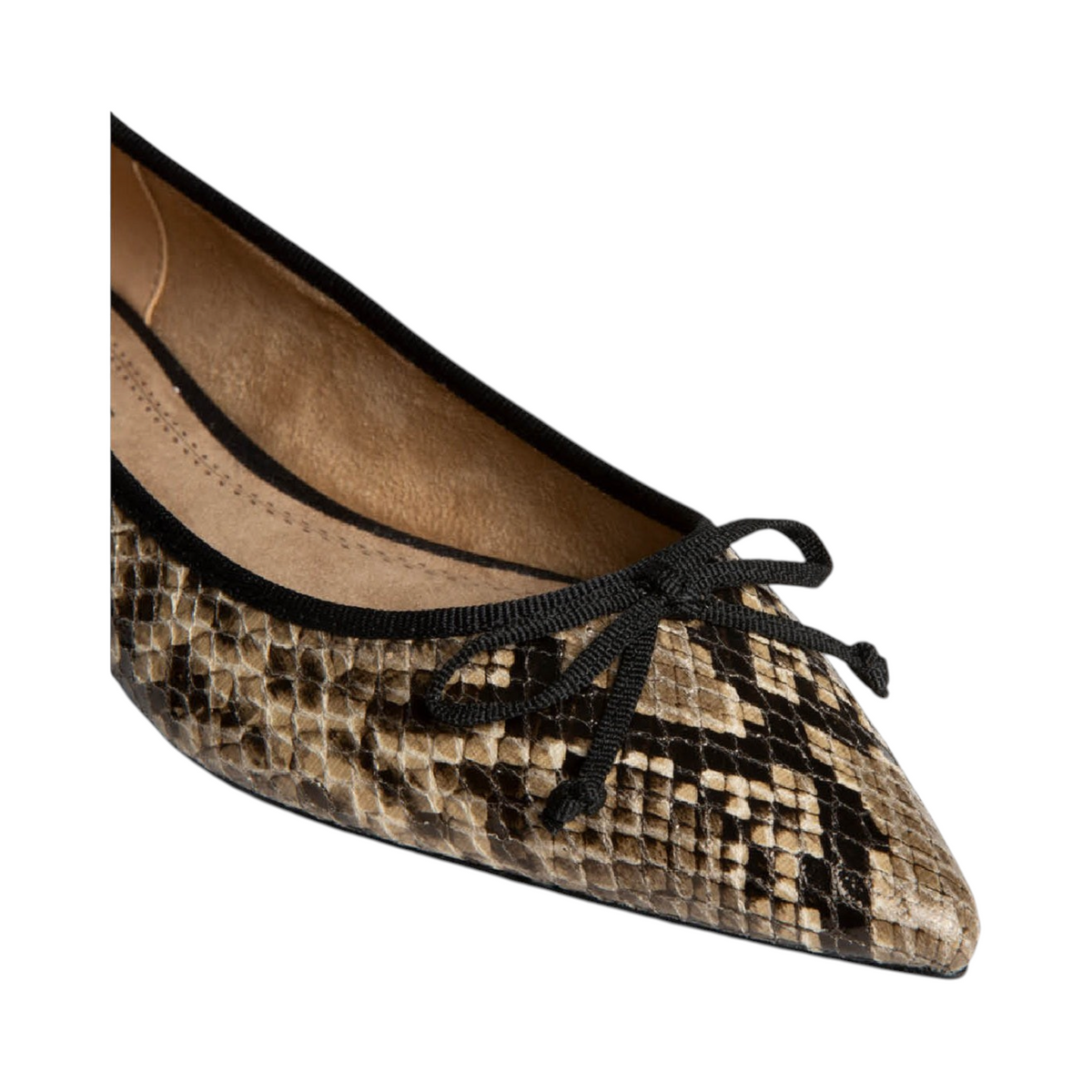 Corina AZALEA Camel — detalle