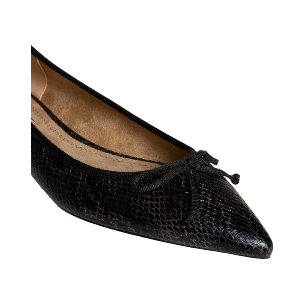 Corina AZALEA Negro — detalle