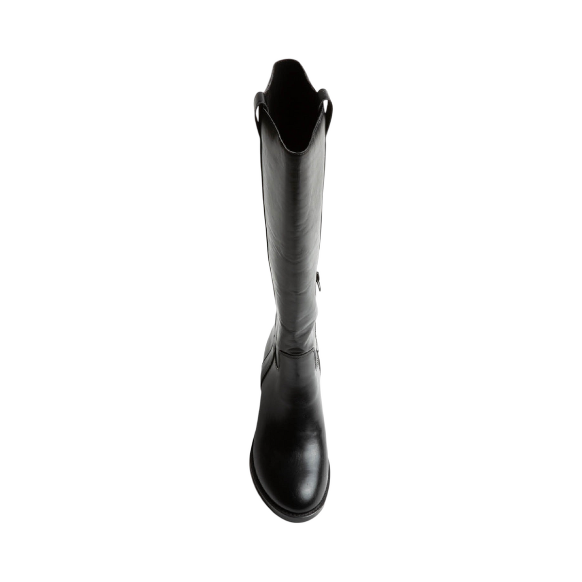 Corina STRELITZIA Negro — vista superior
